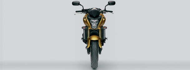 mc_hornet_004_2007_g.jpg