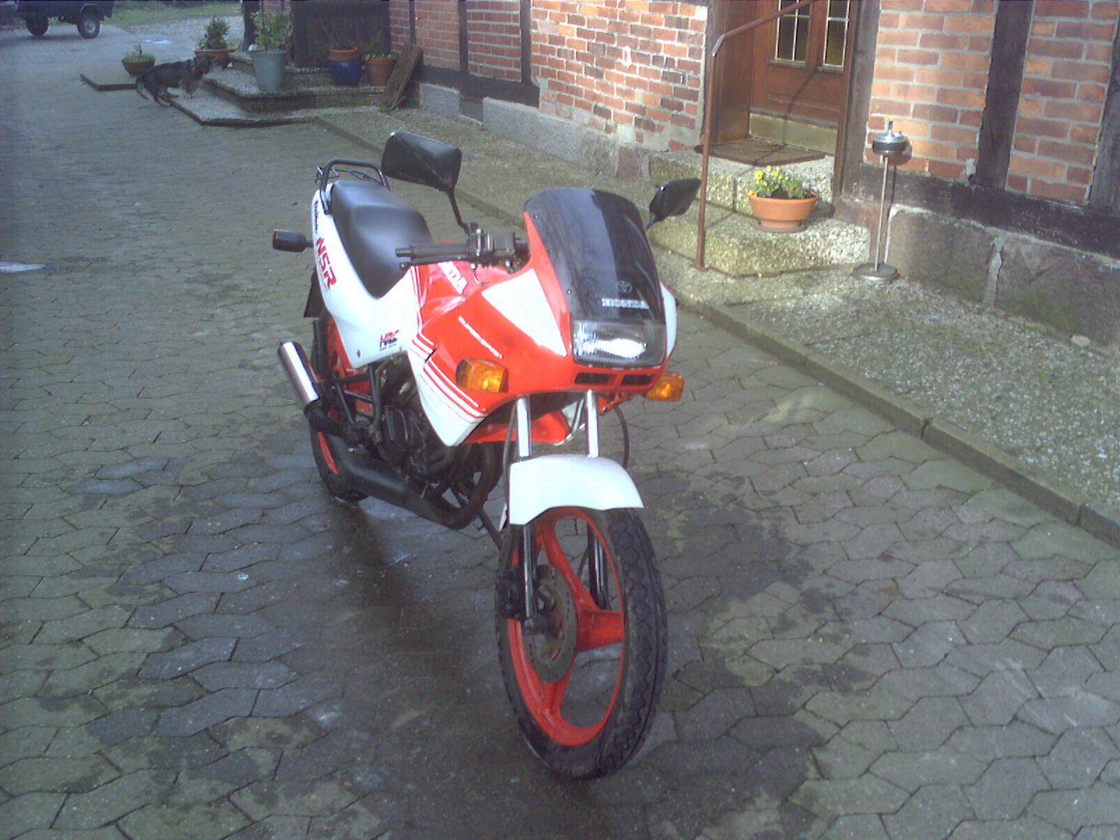 Foto_0013.jpg