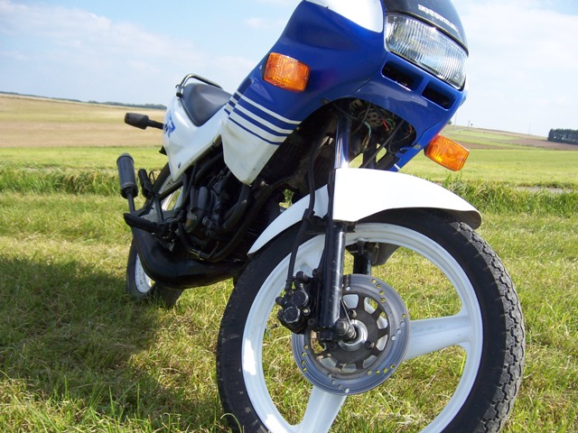 100_2909.jpg