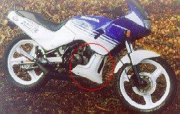 nsr50-04.jpg