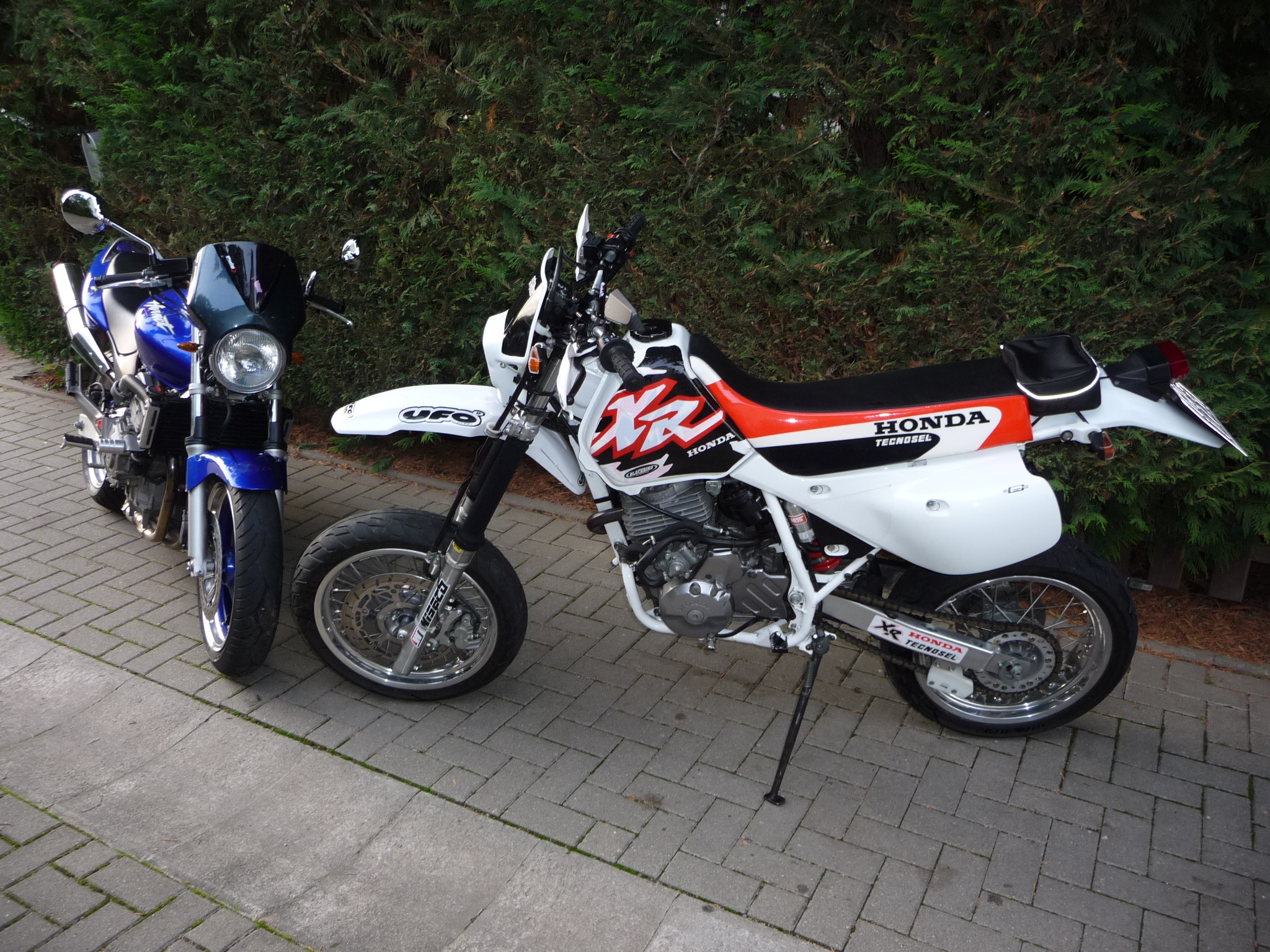 P1050486.JPG